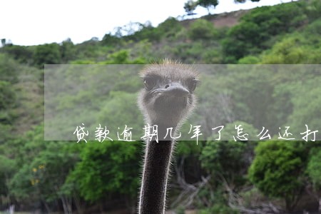 贷款逾期几年了怎么还打电话呢 贷款逾期几年了怎么还打电话呢