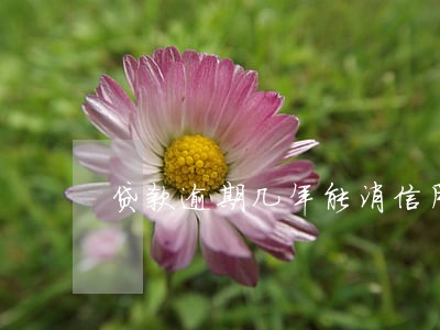 贷款逾期几年能消信用记录 贷款逾期几年能消信用记录