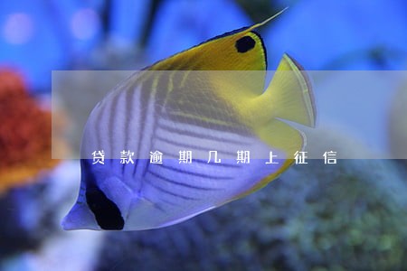 贷款逾期几期上征信 贷款逾期几期上征信