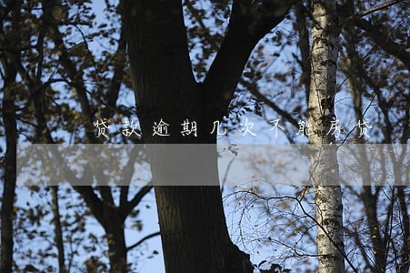 贷款逾期几次不能房贷 贷款逾期几次不能房贷