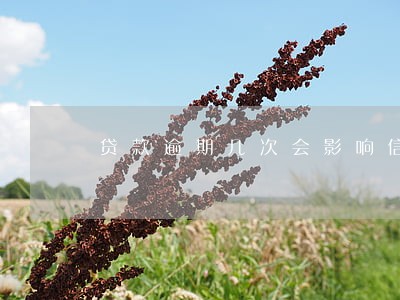 贷款逾期几次会影响信誉度 贷款逾期几次会影响信誉度