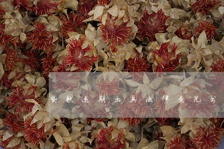 贷款逾期出具法律意见书
