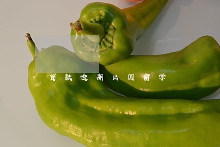 贷款逾期出国留学 贷款逾期出国留学