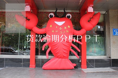 贷款逾期分析PPT 贷款逾期分析PPT