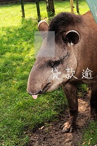 贷款逾期刑事责任 贷款逾期刑事责任