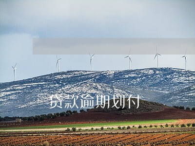 贷款逾期划付 贷款逾期划付