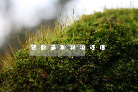 贷款逾期判决征信