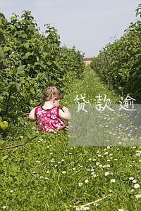 贷款逾期利息万分之五 贷款逾期利息万分之五
