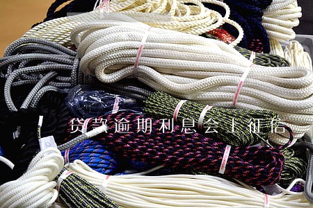 贷款逾期利息会上征信 贷款逾期利息会上征信