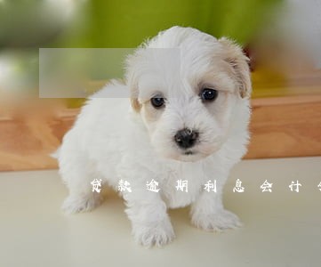 贷款逾期利息会计分录 贷款逾期利息会计分录