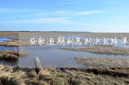 贷款逾期利息判决书跨年 贷款逾期利息判决书跨年