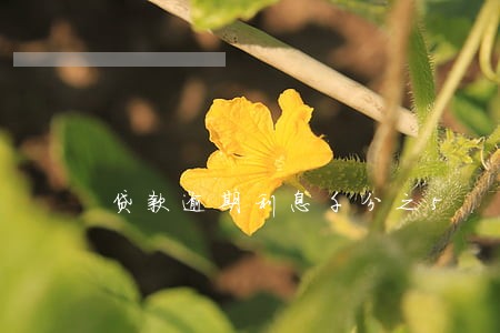 贷款逾期利息千分之5 贷款逾期利息千分之5