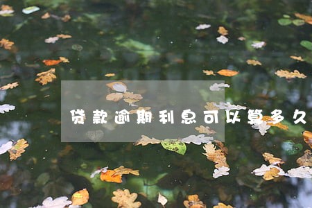 贷款逾期利息可以算多久 贷款逾期利息可以算多久