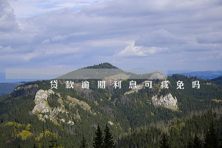 贷款逾期利息可减免吗 贷款逾期利息可减免吗