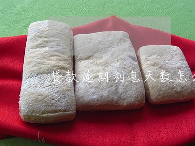 贷款逾期利息天数怎么算的 贷款逾期利息天数怎么算的