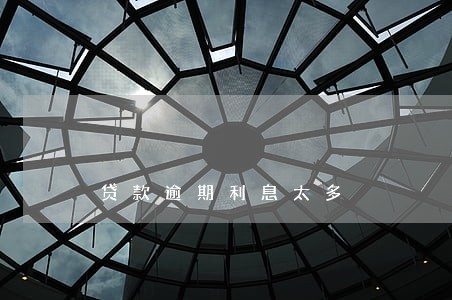 贷款逾期利息太多 贷款逾期利息太多