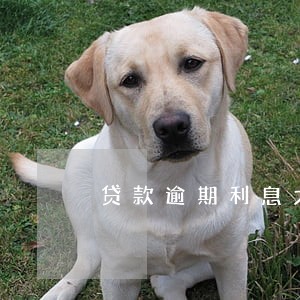 贷款逾期利息太高了能调节 贷款逾期利息太高了能调节