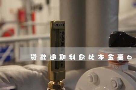 贷款逾期利息比本金高6 贷款逾期利息比本金高6
