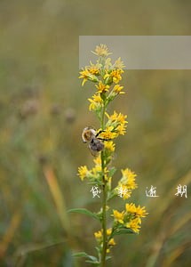 贷款逾期利息流动性风险 贷款逾期利息流动性风险