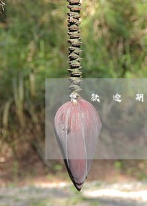 贷款逾期利息百分之24 贷款逾期利息百分之24