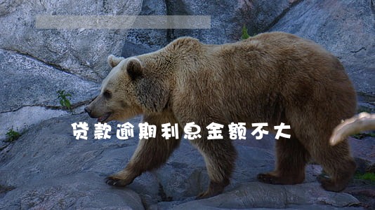 贷款逾期利息金额不大 贷款逾期利息金额不大
