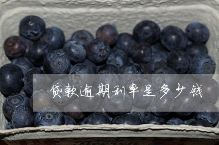 贷款逾期利率是多少钱 贷款逾期利率是多少钱