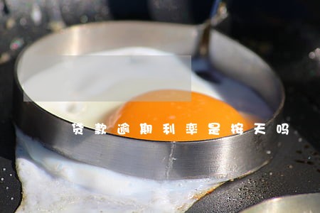 贷款逾期利率是按天吗 贷款逾期利率是按天吗