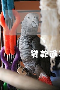 贷款逾期到什么程度会被执行 贷款逾期到什么程度会被执行