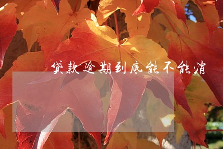 贷款逾期到底能不能消 贷款逾期到底能不能消