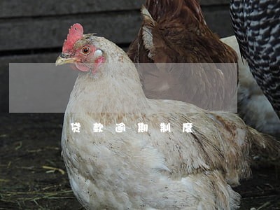 贷款逾期制度 贷款逾期制度