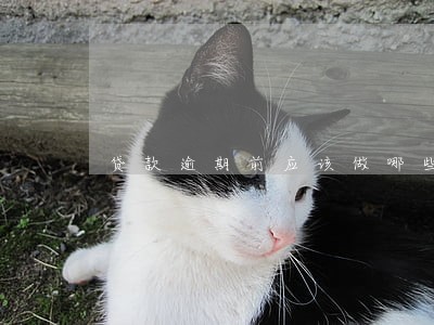 贷款逾期前应该做哪些事情 贷款逾期前应该做哪些事情