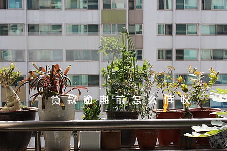 贷款逾期前怎么催收