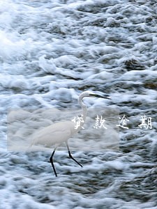 贷款逾期剩余授信额度冻结 贷款逾期剩余授信额度冻结