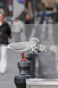贷款逾期办建行信用卡吗 贷款逾期办建行信用卡吗