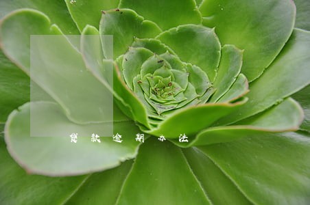 贷款逾期办法 贷款逾期办法