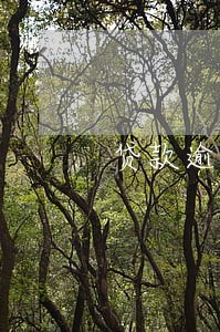 贷款逾期加微信协商解决