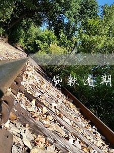 贷款逾期加贷 贷款逾期加贷