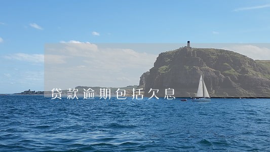 贷款逾期包括欠息 贷款逾期包括欠息