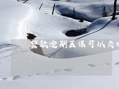 贷款逾期医保可以交吗 贷款逾期医保可以交吗