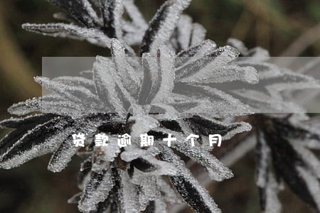 贷款逾期十个月 贷款逾期十个月
