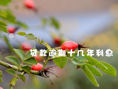 贷款逾期十几年利息 贷款逾期十几年利息