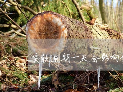 贷款逾期十天会影响信用吗