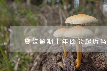 贷款逾期十年还能起诉吗 贷款逾期十年还能起诉吗