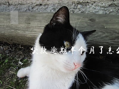 贷款逾期半个月了怎么办