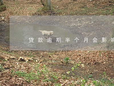 贷款逾期半个月会影响信用吗 贷款逾期半个月会影响信用吗