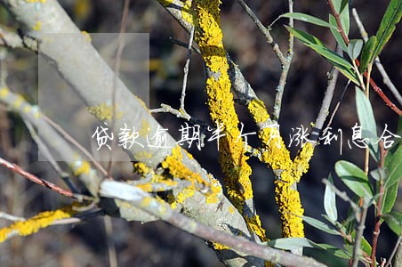 贷款逾期半个月涨利息合法吗 贷款逾期半个月涨利息合法吗