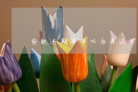 贷款逾期半年以后再还可以吗 贷款逾期半年以后再还可以吗