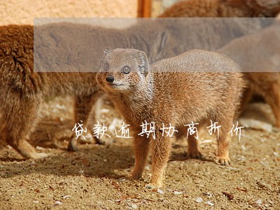 贷款逾期协商折价