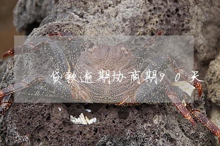 贷款逾期协商期90天