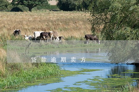 贷款逾期卖方 贷款逾期卖方